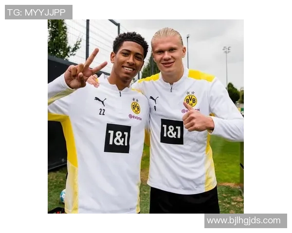 数据模型深度解析哈兰德未来赛场胜率走势预测 数据模型深度解析哈兰德未来赛场胜率走势预测